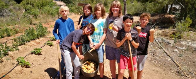 Children tending to the AIS allotment at Summer School