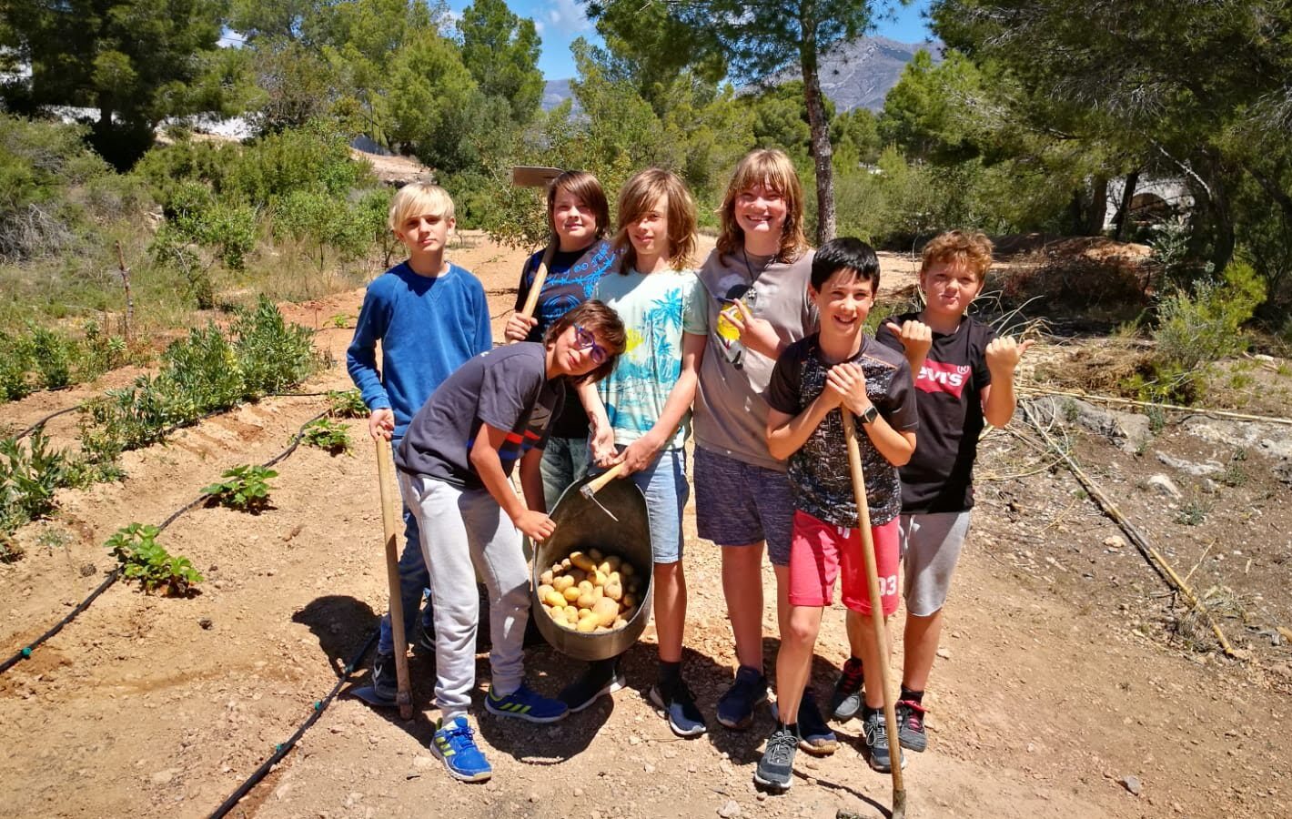 Children tending to the AIS school allotment